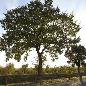 Lucerna Del Prile Bauernhof
